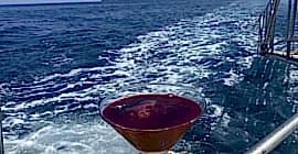 19 06 2022 TEKNE TURUMUZ