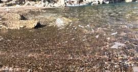 Adrasan Koyları Tekne Turları Ekim 2018″