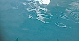 Adrasan Tekne Turu 2016