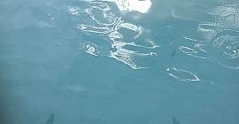 Adrasan Tekne Turu 2016