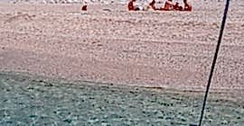 Tekne Turunun Bir Günü