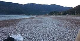 Adrasan Suluada Turu