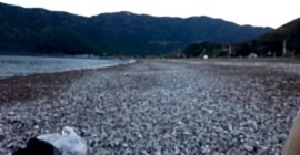 Tekne Turunun Bir Günü