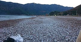 Tekne Turunun Bir Günü