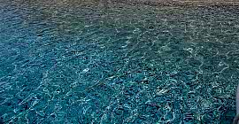 Tekne Turunun Bir Günü