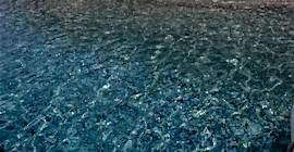 Tekne Turunun Bir Günü