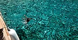 Bayramda Suluada Tekne Turu