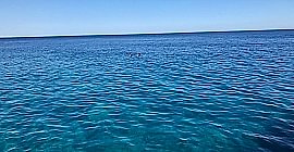 Bayramda Suluada Tekne Turu