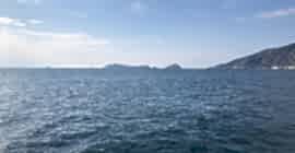 Suluada Balık Turları