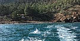 Suluada Balık Turları