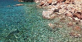 Suluada Turları Başladı:)