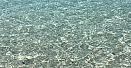 Suluada Turları Başladı:)