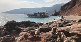 Bizde Henüz Sezon Bitmedi