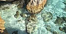 Bizde Henüz Sezon Bitmedi