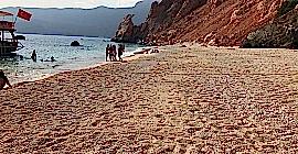 Bizde Henüz Sezon Bitmedi