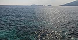 Bizde Henüz Sezon Bitmedi