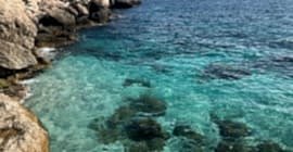 Bizde Henüz Sezon Bitmedi