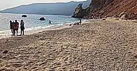 Bizde Henüz Sezon Bitmedi