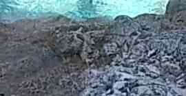 Yusuf Kaptan ile Suluada Turları