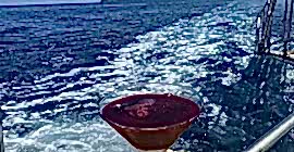 19 06 2022 TEKNE TURUMUZ