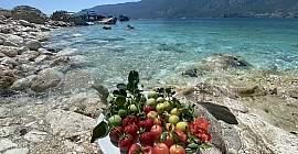 Adrasan Tekne Turu 2022 Sezonu